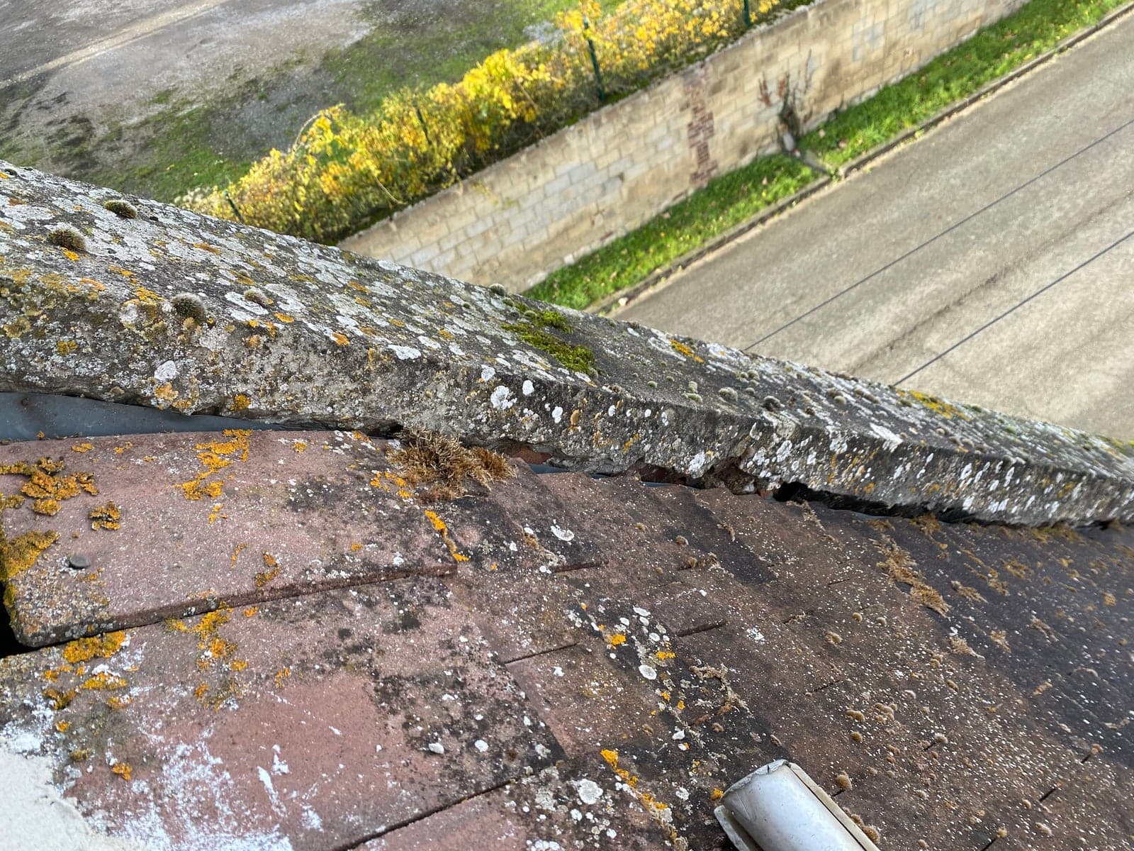 Faîtage de toiture couvert de mousse et de lichen, joints creusés